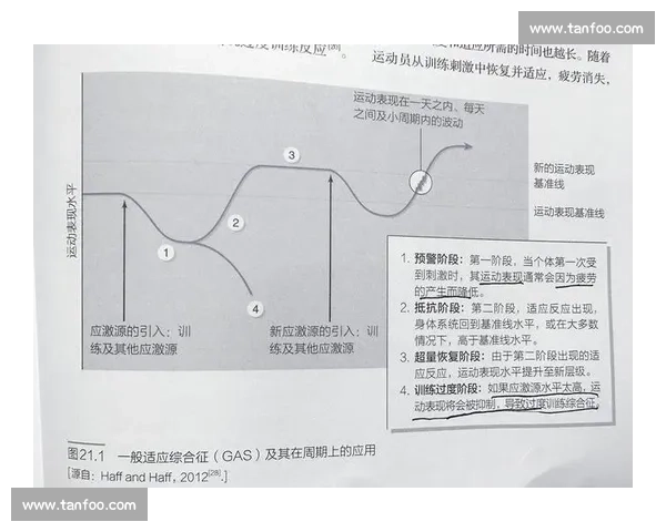 全面提升竞技水平的科学训练与赛前心理调适策略