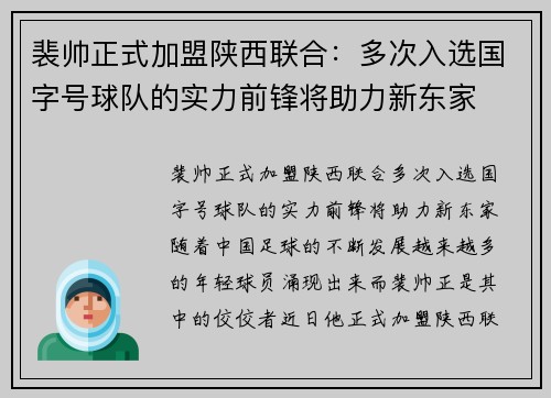裴帅正式加盟陕西联合：多次入选国字号球队的实力前锋将助力新东家