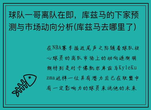 球队一哥离队在即，库兹马的下家预测与市场动向分析(库兹马去哪里了)