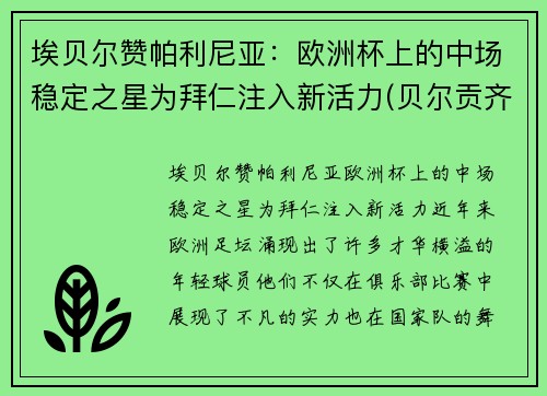 埃贝尔赞帕利尼亚：欧洲杯上的中场稳定之星为拜仁注入新活力(贝尔贡齐评价帕瓦罗蒂)
