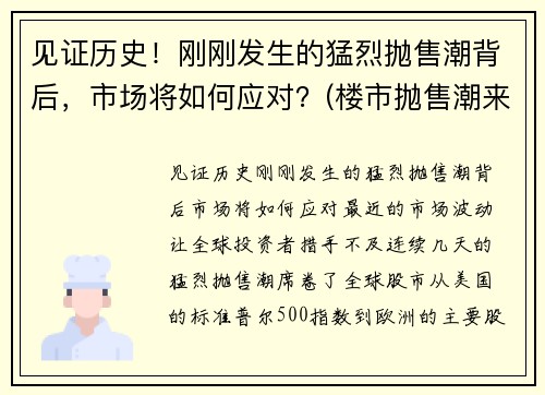见证历史！刚刚发生的猛烈抛售潮背后，市场将如何应对？(楼市抛售潮来袭)