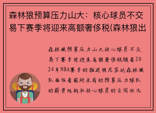 森林狼预算压力山大：核心球员不交易下赛季将迎来高额奢侈税(森林狼出售球队)